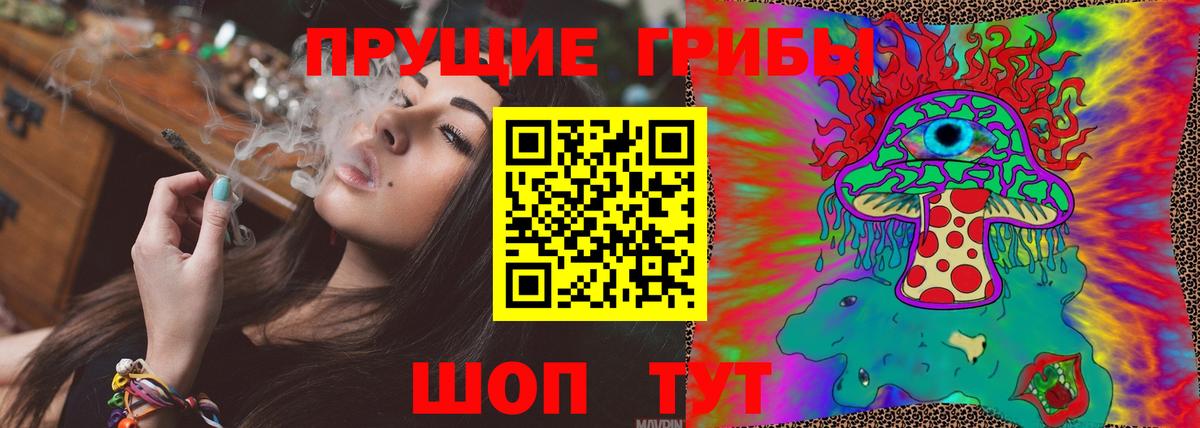 Псилоцибиновые грибы Psilocybe  Галлюциногенные грибы прущие грибы  Звенигород  Вход с VPN 